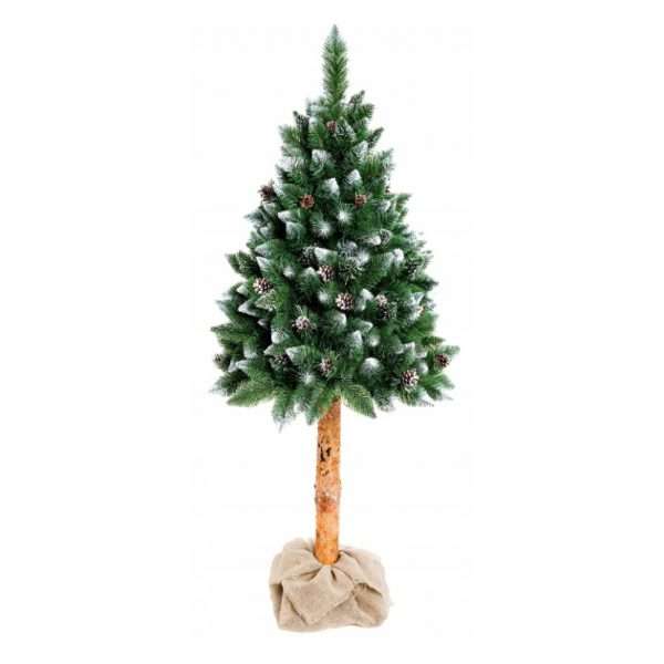 Sosna diamentowa z naturalnymi szyszkami na naturalnym pniu 90cm-220cm (NCHP12)