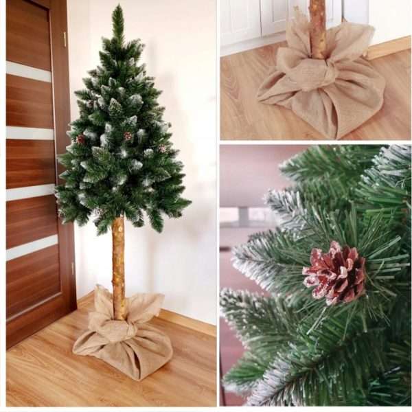 Sosna diamentowa z naturalnymi szyszkami na naturalnym pniu 90cm-220cm (NCHP12) - obrazek 6